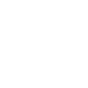 Snowbombing Logo